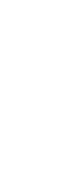 tiki icon