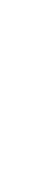 tiki torch icon